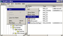 ShowSecurityPage Registry setting DWORD