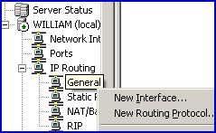 RRAS, RAS IP routing, General, New Routing Interface