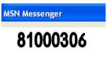 81000306 - MSN  Messenger Error Code