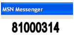 81000314 - MSN  Messenger Error Code
