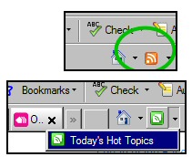 IE 8 Web Slices Example